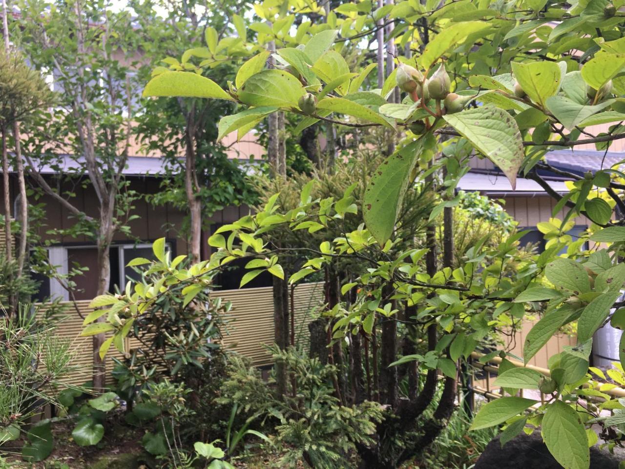 Masugataya Ryokan Tako Ngoại thất bức ảnh